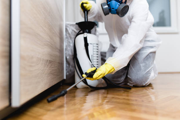 Best Flea Control Services  in Houston, MO