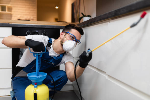 Best Cockroach Control Services  in Houston, MO