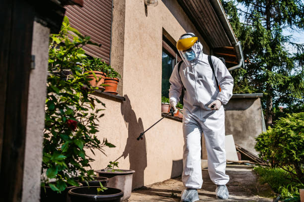 Best Pest Prevention Services  in Houston, MO