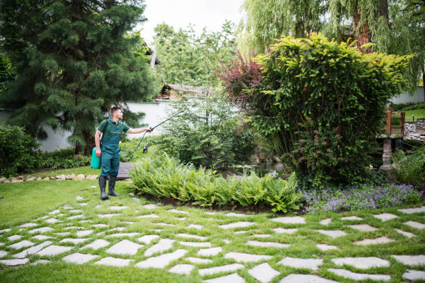 Best Pest Removal Services  in Houston, MO