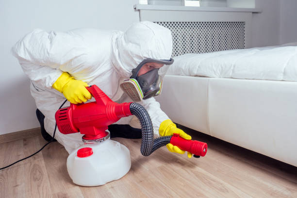 Best Pest Removal Services  in Houston, MO