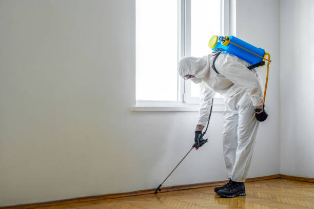 Best Flea Control Services  in Houston, MO