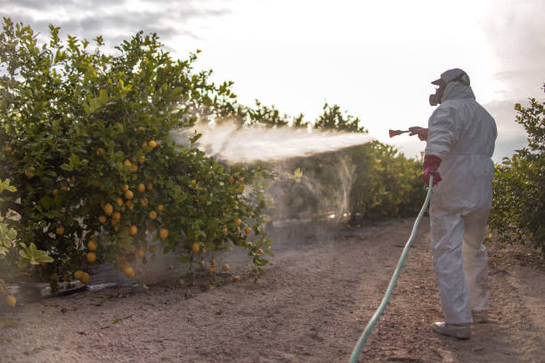 Best Best Pest Control Companies  in Houston, MO