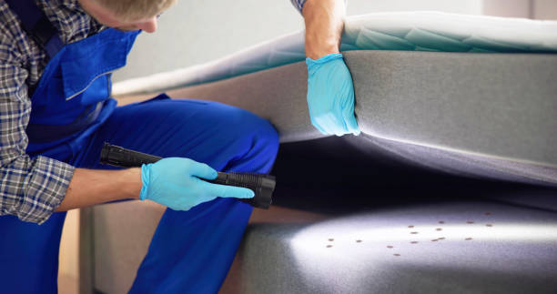 Best Cockroach Control Services  in Houston, MO
