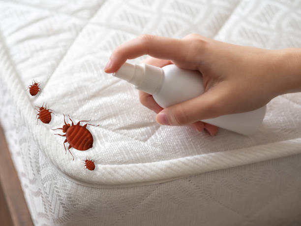 Best Insect Control  in Houston, MO