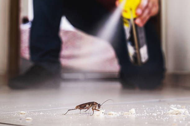 Houston, MO Pest Control Company