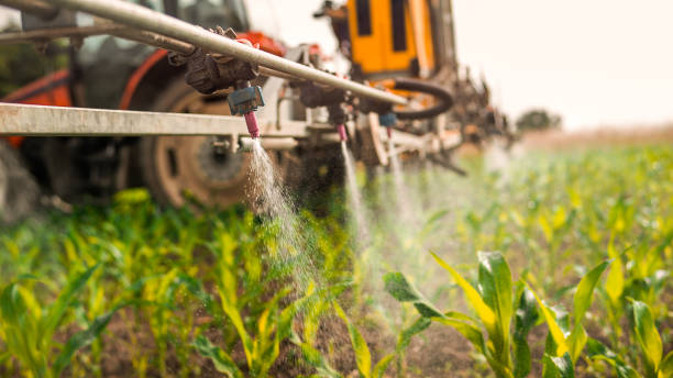 Best Commercial Pest Control Services  in Houston, MO
